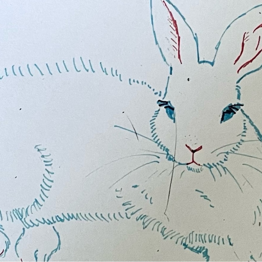 Framed lounging rabbit art